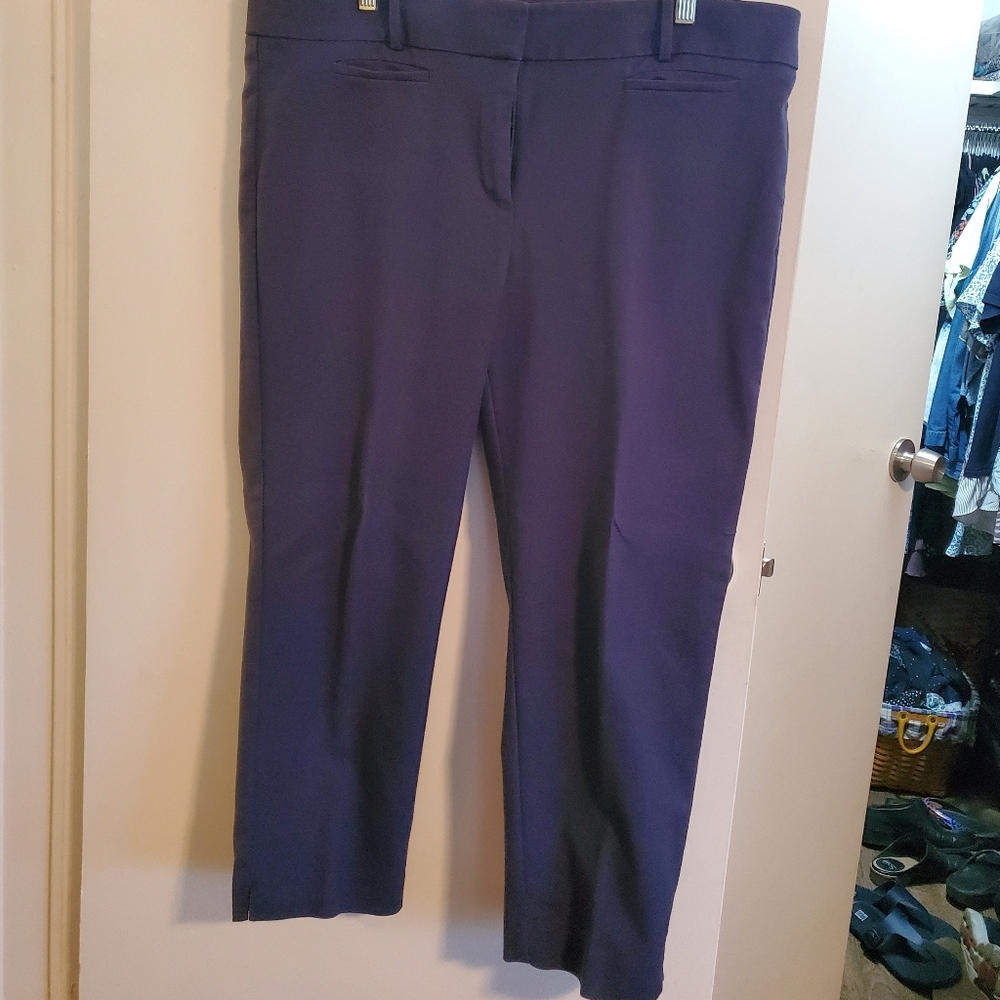 Loft crop pants